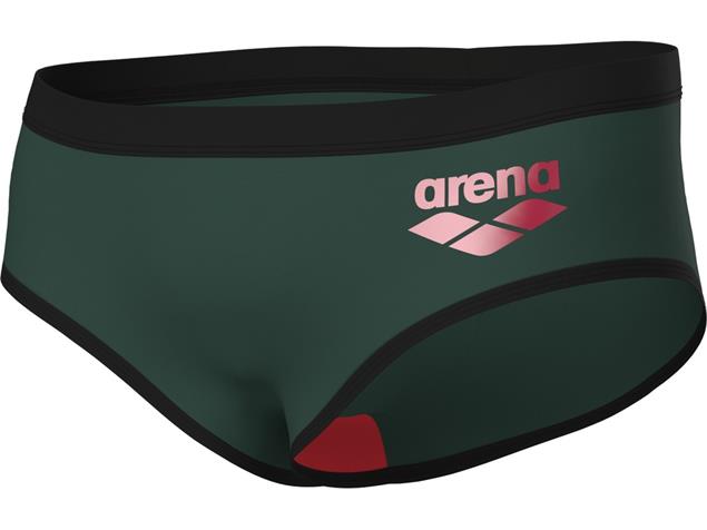 Arena ONE Biglogo Low Waist Badehose - 7 dark sage/black